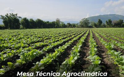 Boletín Agroclimático MAGA 2025