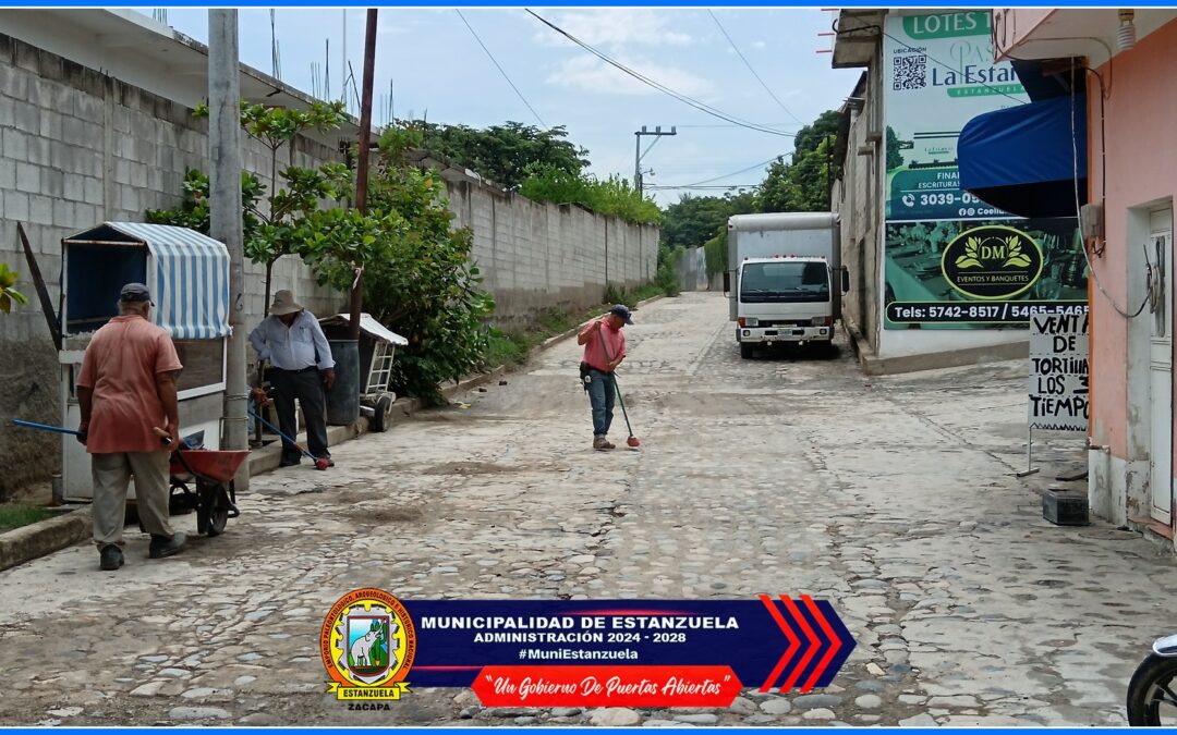 Limpieza de calles y avenidas
