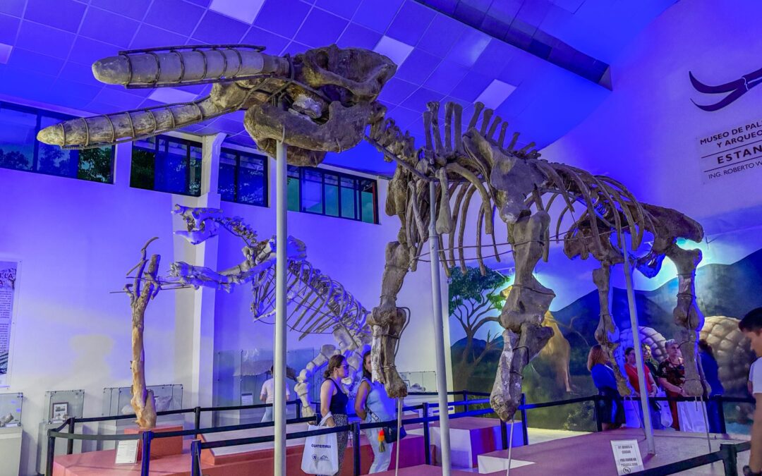 51 Aniversario del Museo