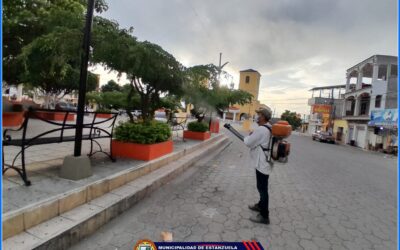 Fumigación de áreas municipales