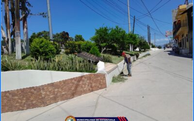 Mantenimiento de Jardines y áreas Verdes