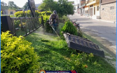 Mantenimiento de Jardines