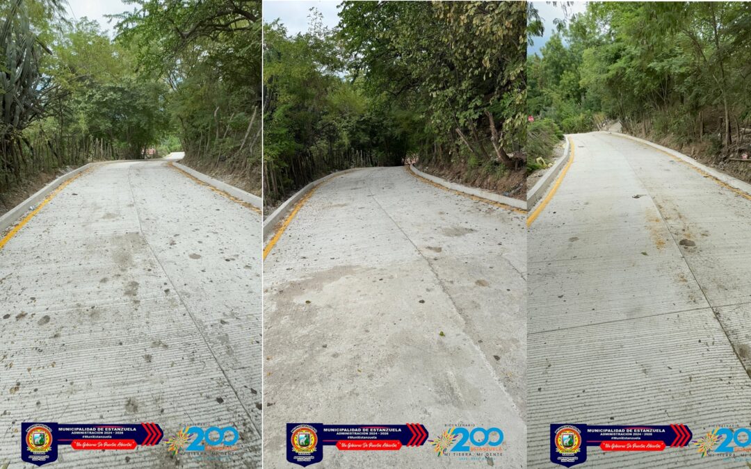 Proyecto Mejoramiento Calle Aldea El Guayabal
