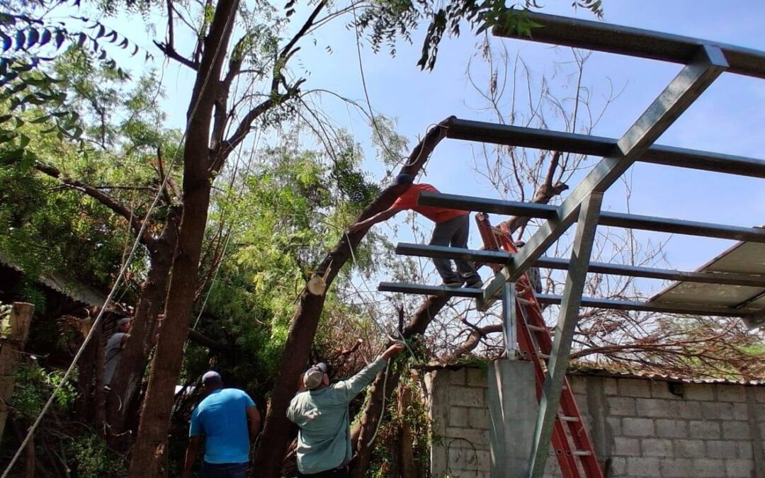Mantenimiento de paneles solares El Guayabal